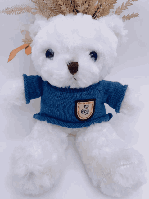 Thú nhồi bông nhập khẩu Teddy trắng quảng châu trung quốc