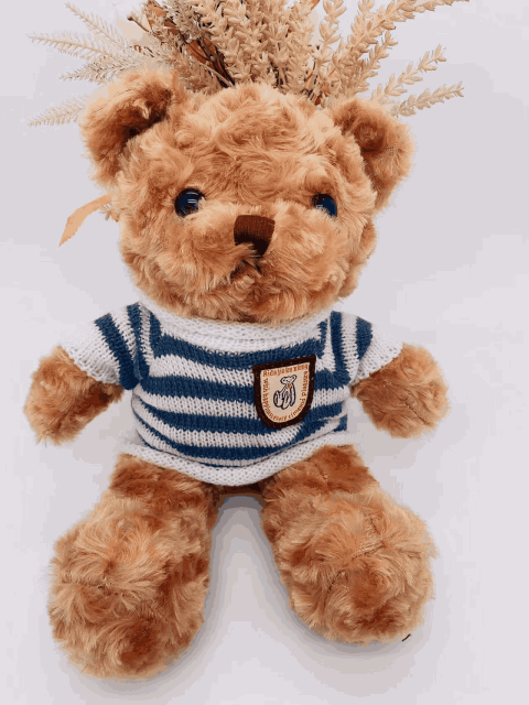 Thú nhồi bông nhập khẩu Teddy qurng châu trung quốc