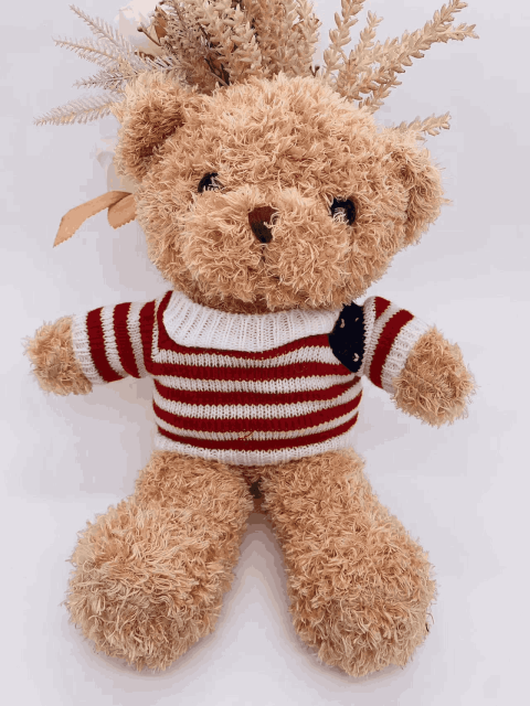 THÚ NHỒI BÔNG NHẬP KHẨU TEDDY